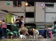 Families relaxing together at an RV campsite at White River Campground in West Michigan