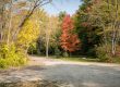 Beautiful fall foliage surrounding campsites at White River RV Park & Campground in West Michigan