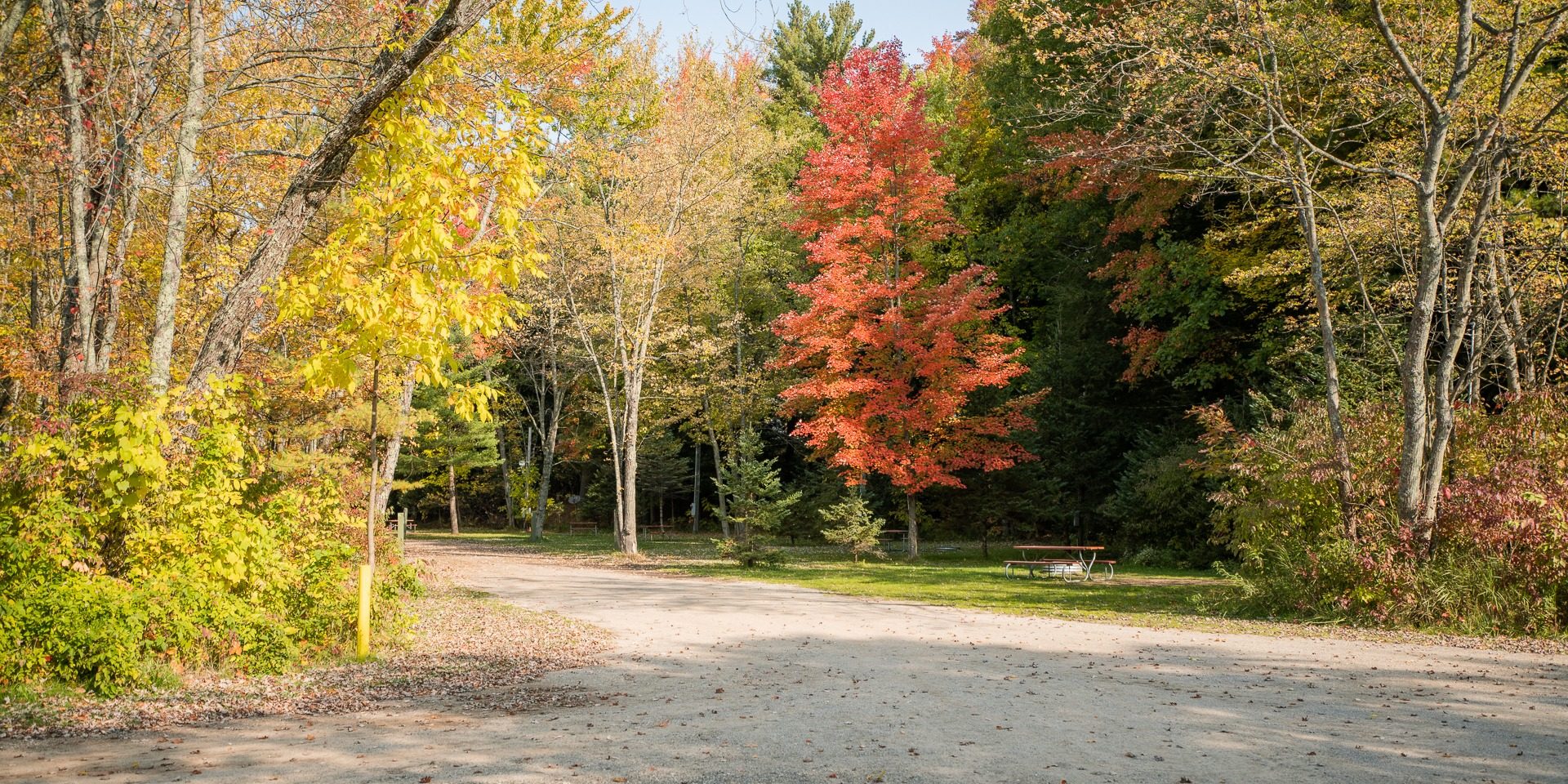Fall Camping at White River RV Park & Campground Beautiful fall foliage surrounding campsites at White River RV Park & Campground in West Michigan