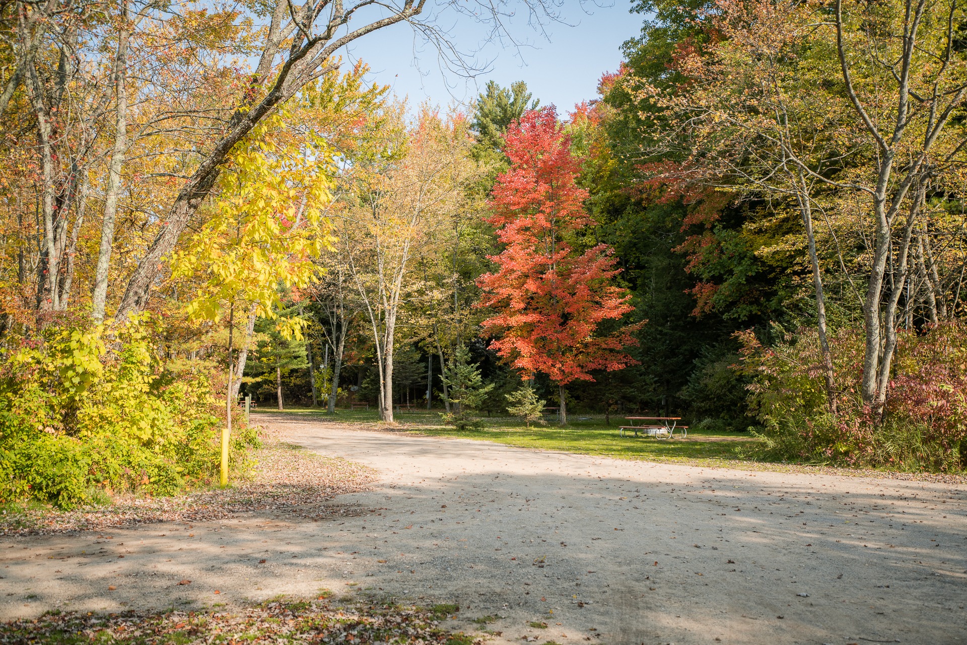 Beautiful fall foliage surrounding campsites at White River RV Park & Campground in West Michigan